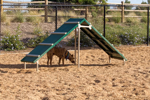 Dog Park at Alga Norte Community Park photo 1